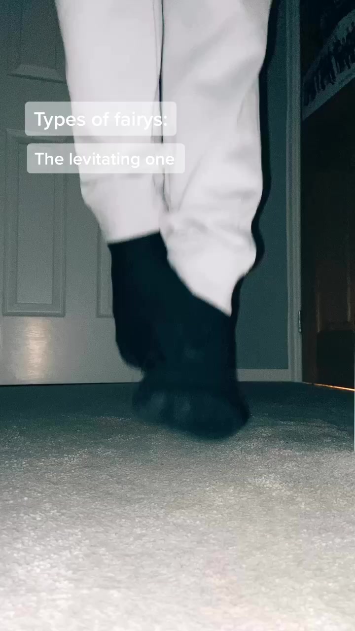 @Pippin_the_fairy