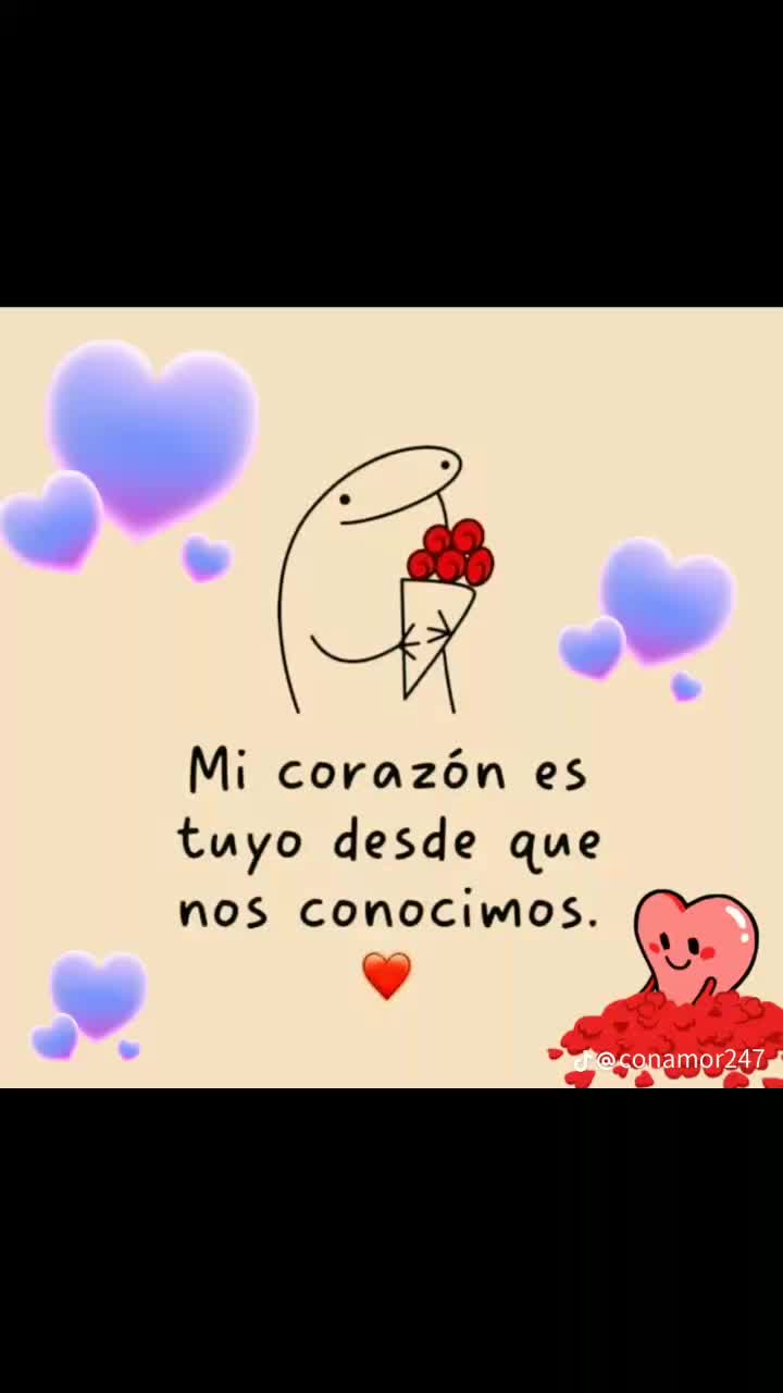 @gatita 22