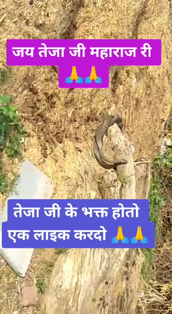@💥 Team Rajasthani💥