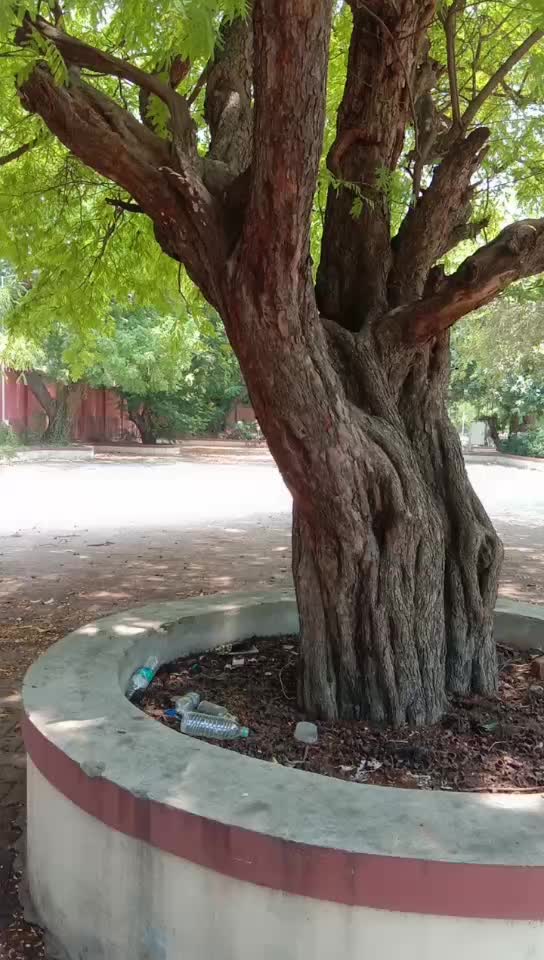@கோ சரவணன்