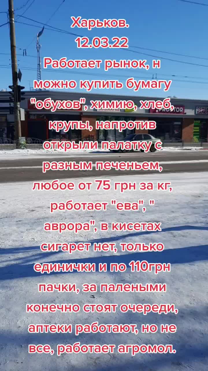 @moy_blog24