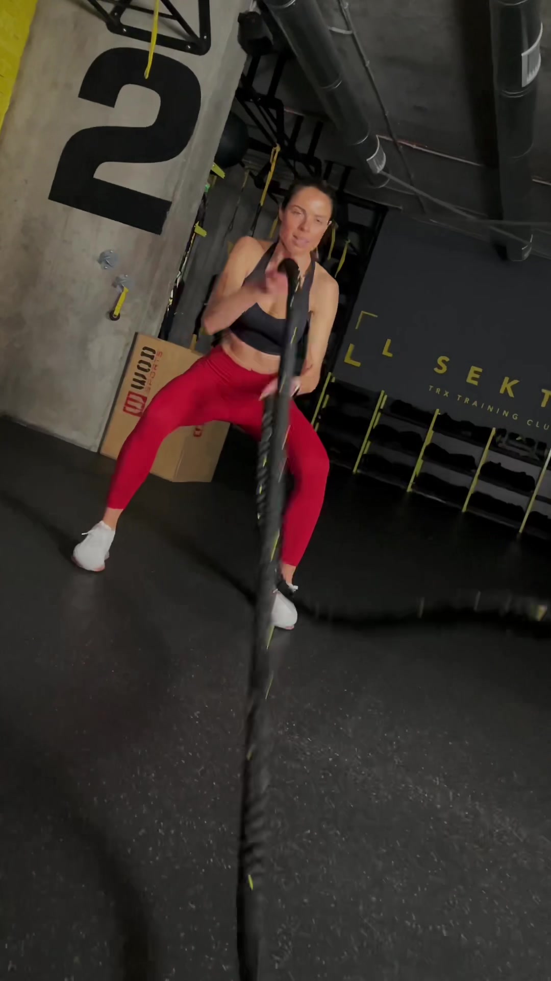 @L SEKTOR TRX training club
