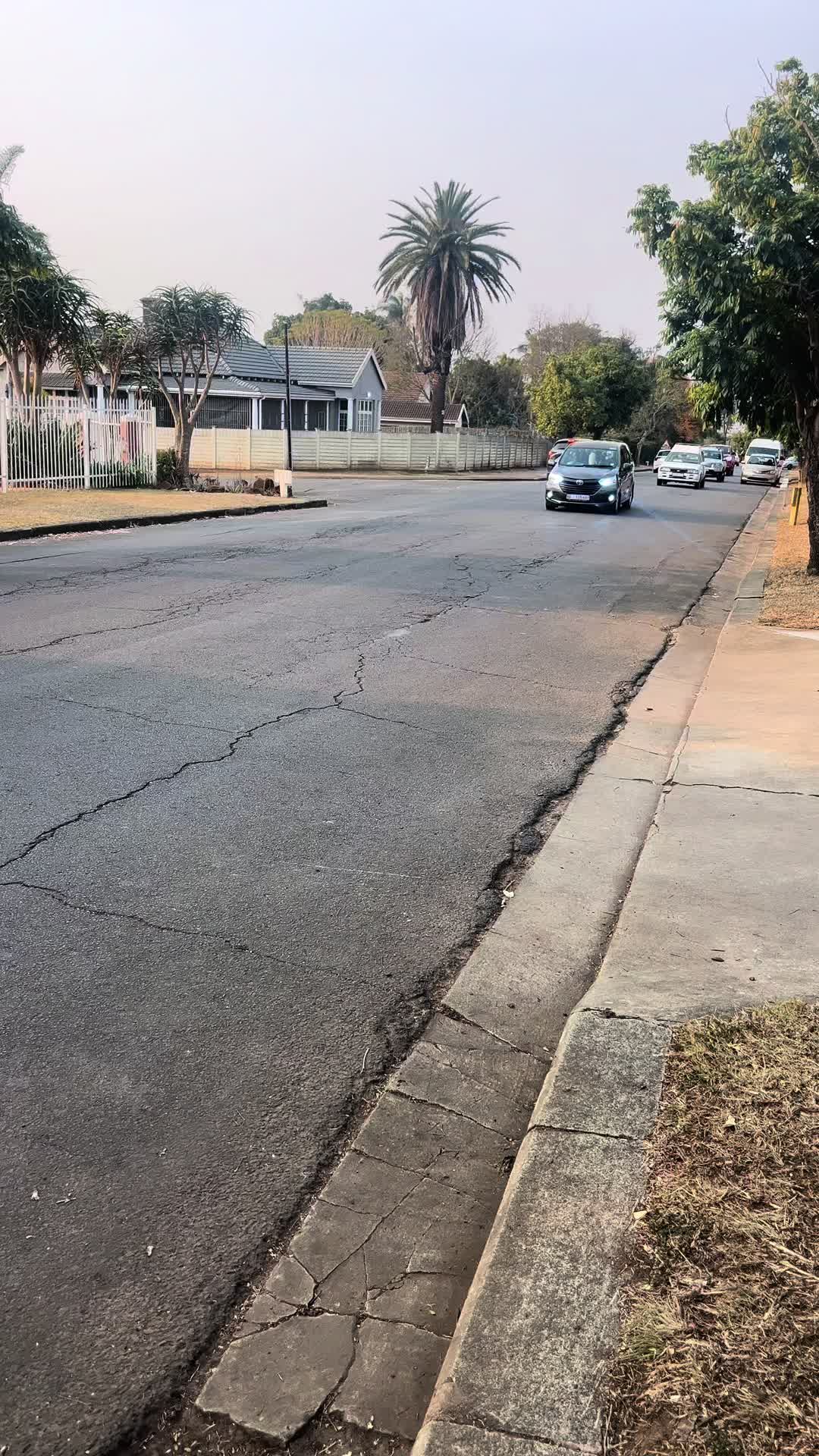 @sbanesihle