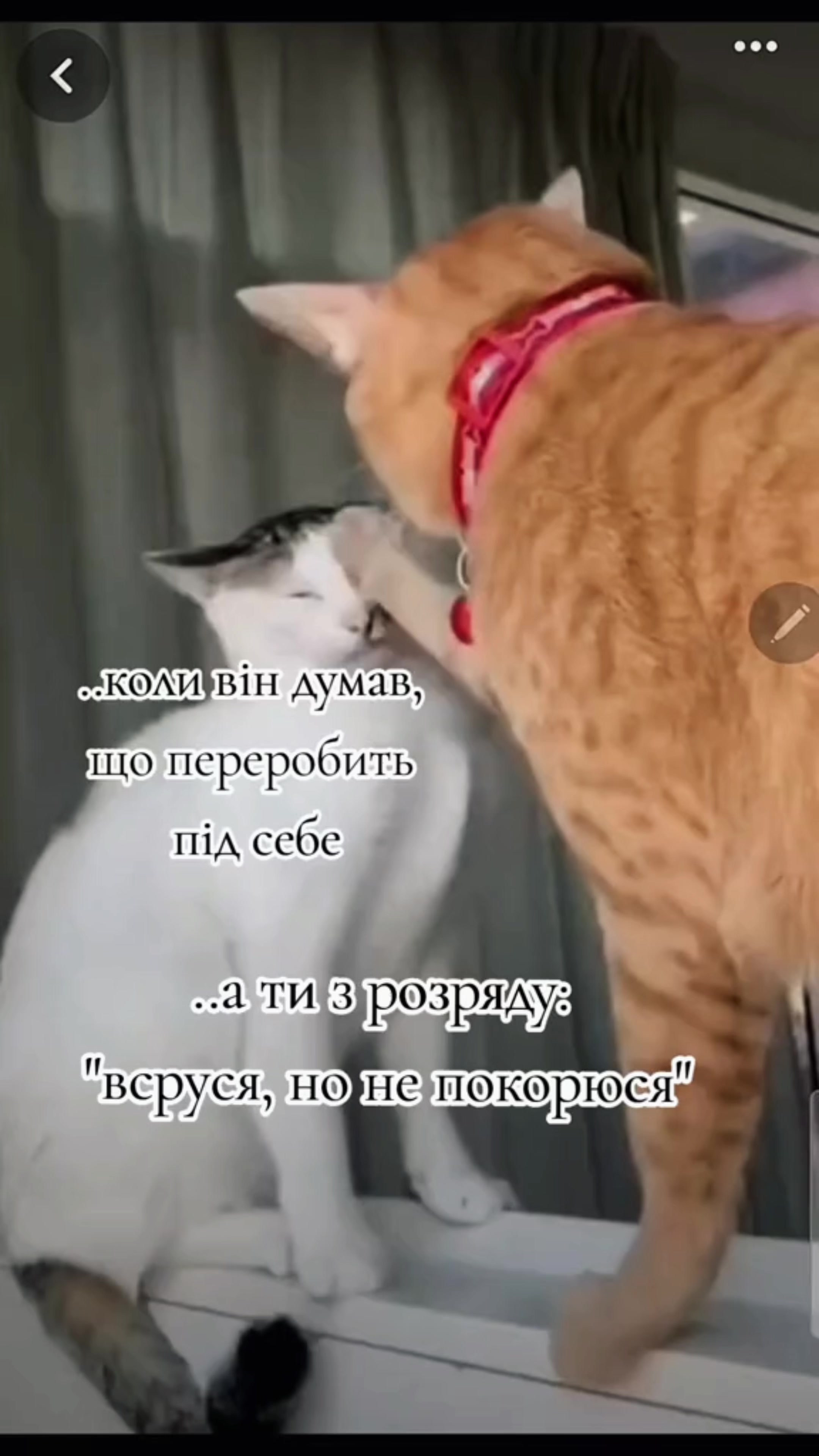@Яна