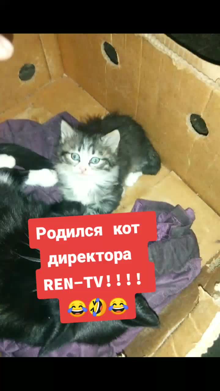@Udgin