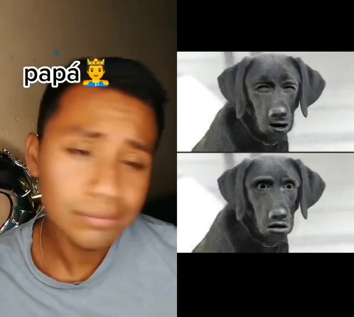 @perrowhat