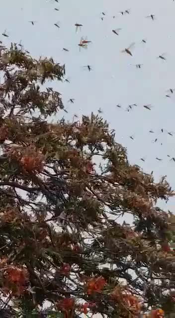 @maahi_gupta