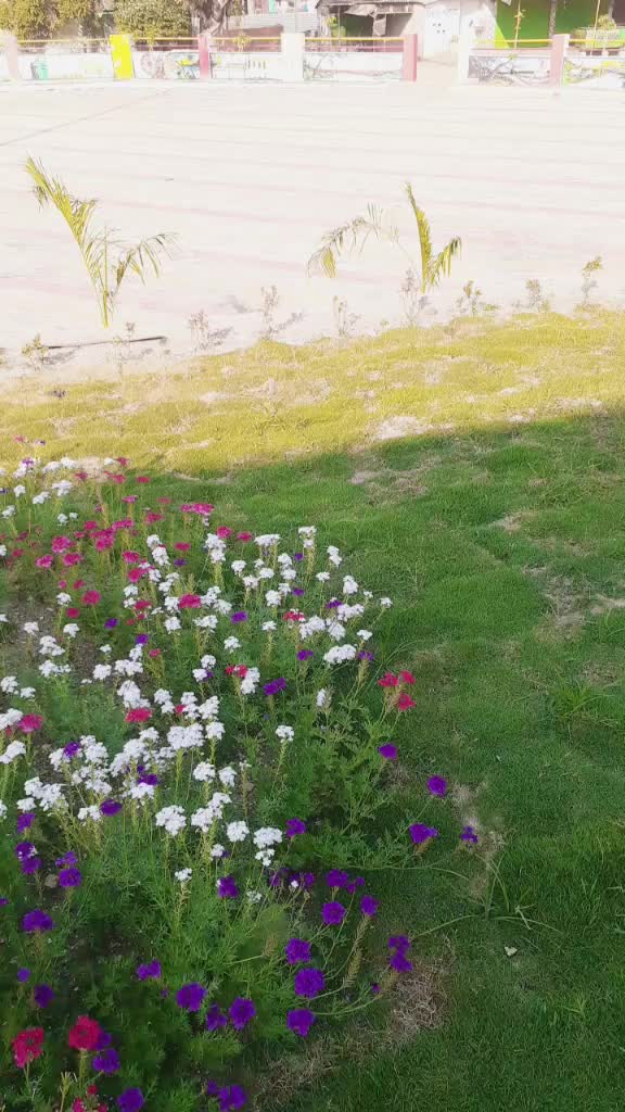 @Ramesh hati