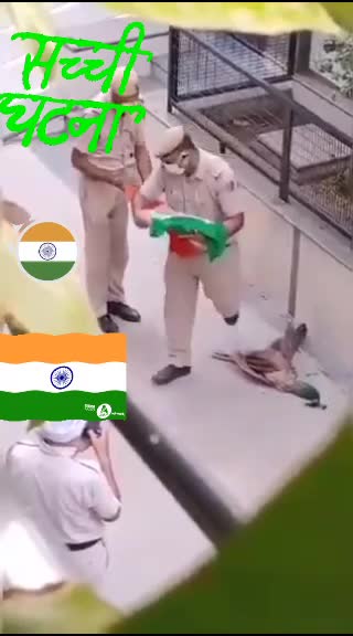 @umesh yadav