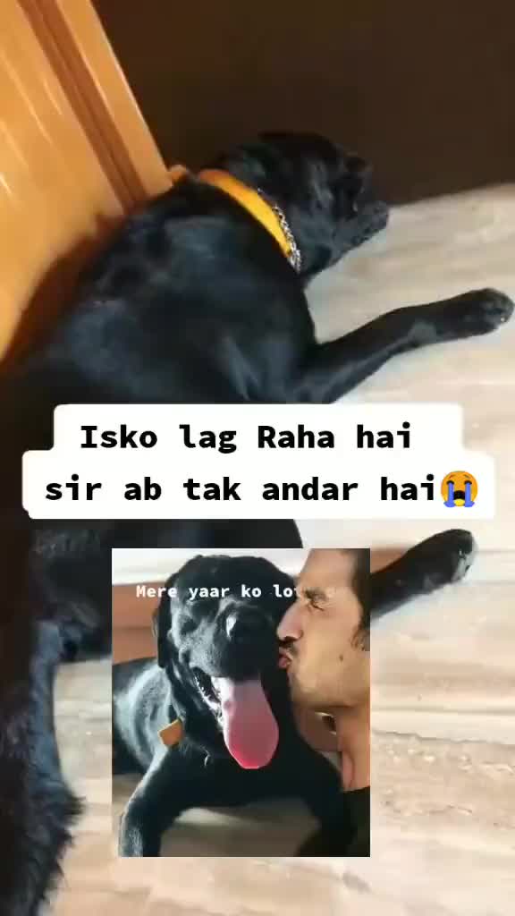 @Pankaj
