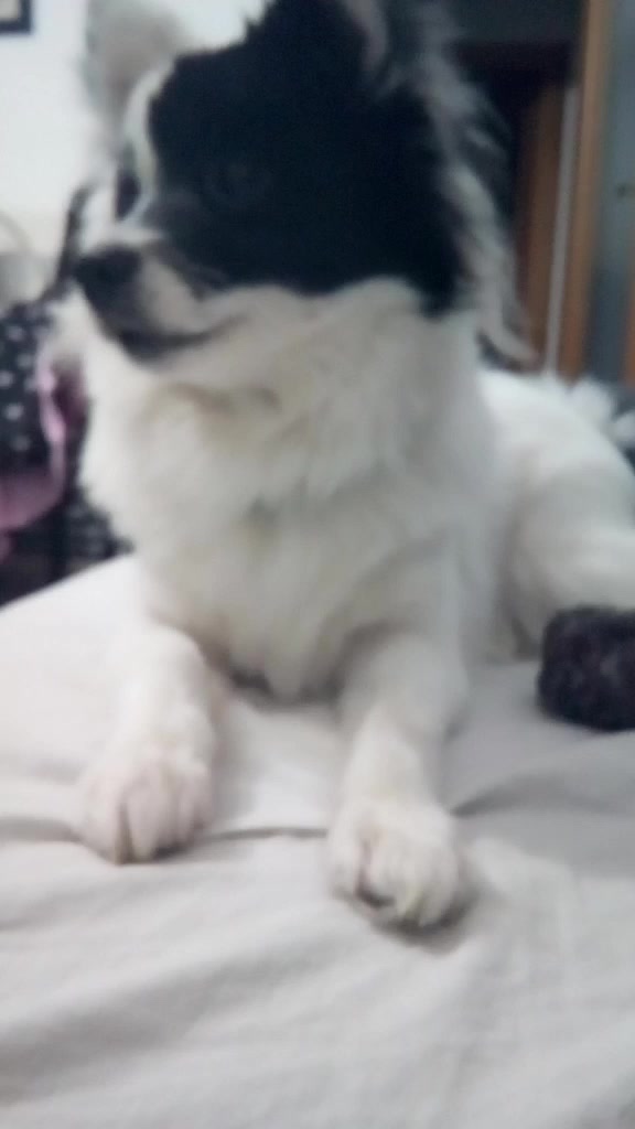 @Io&Zeus=amore eterno