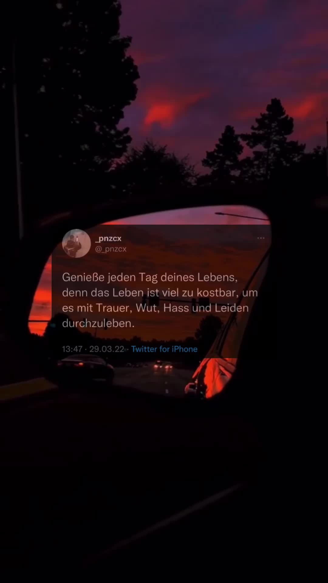 @🦂 𝐩𝐧𝐳𝐜𝐱 🦂