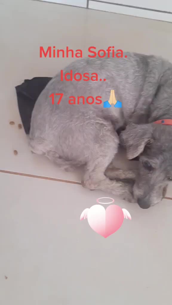 @Kenia Patricia Peixo