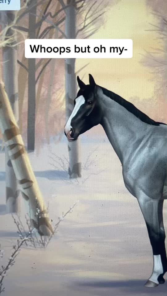 @Horse reality🤍
