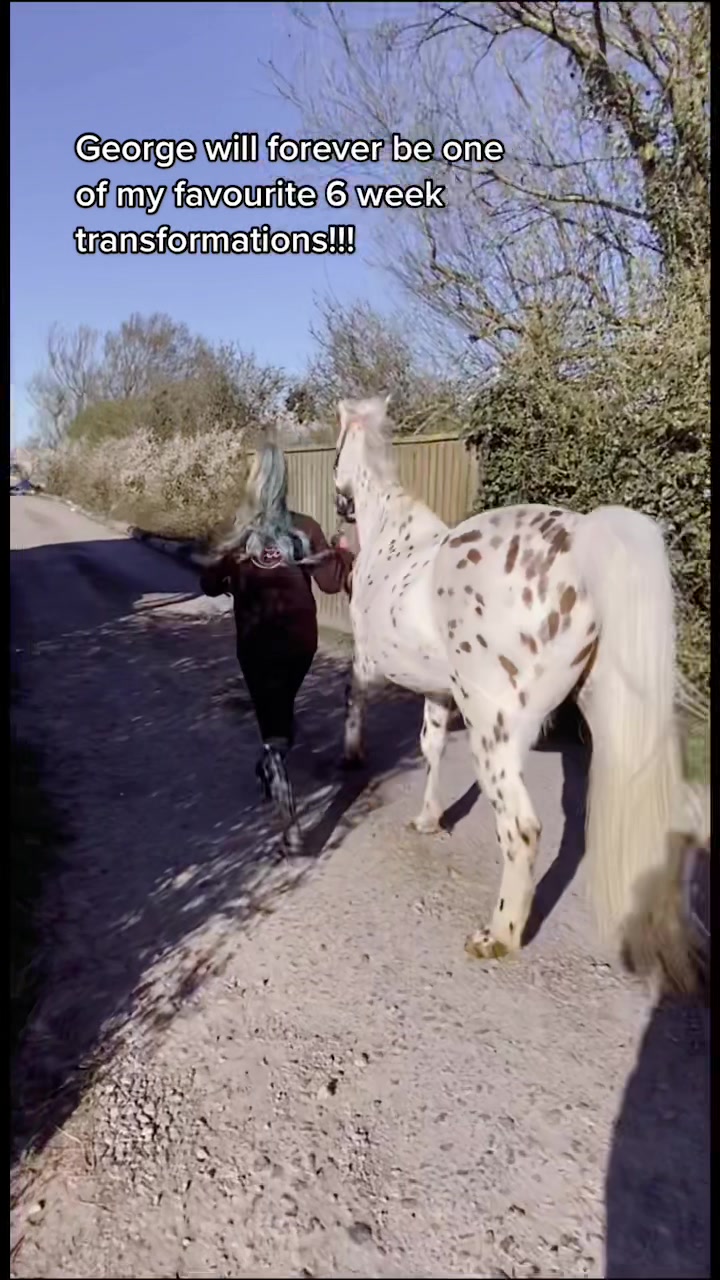 @LW_Equestrian