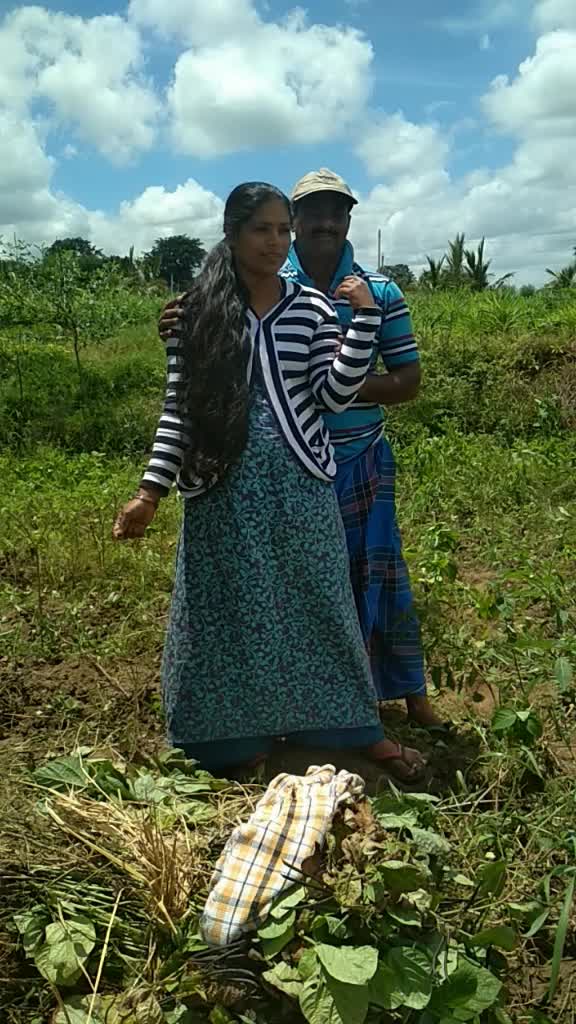 @pavinaga