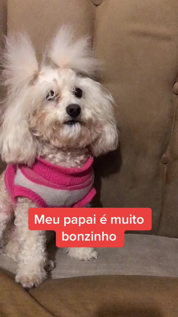 @Bella Maria