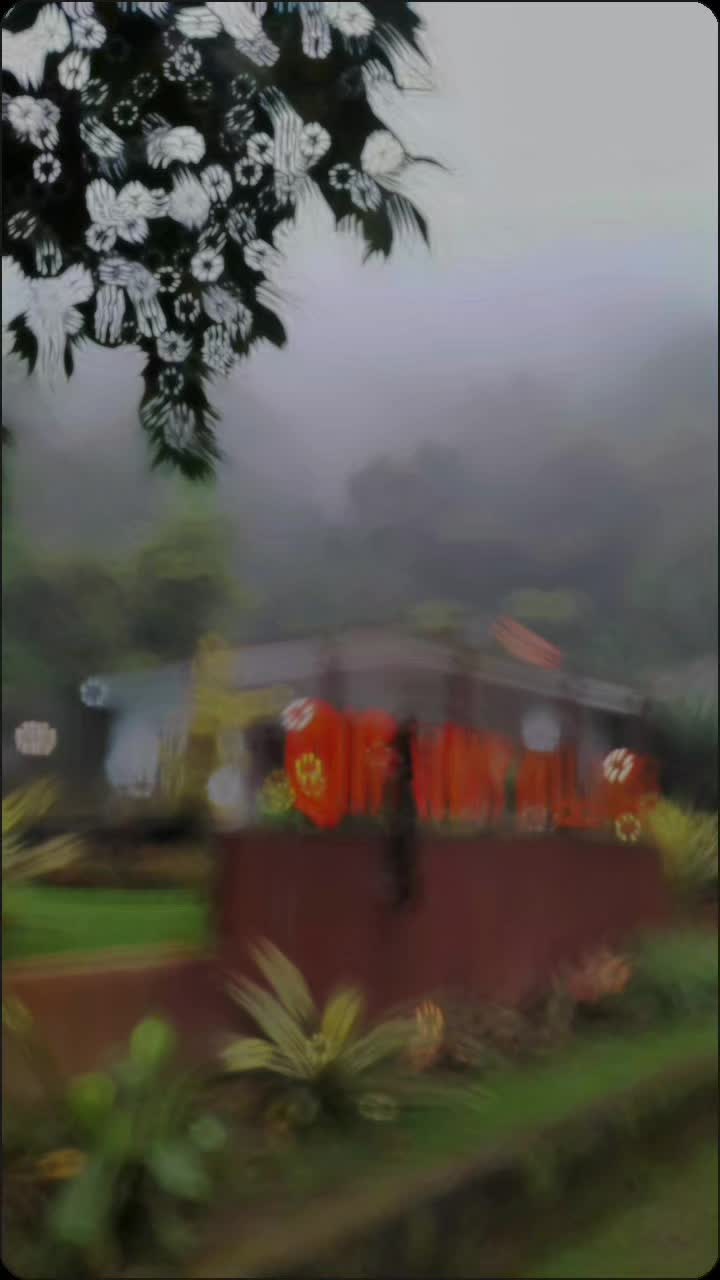 @CILEMBER.COM