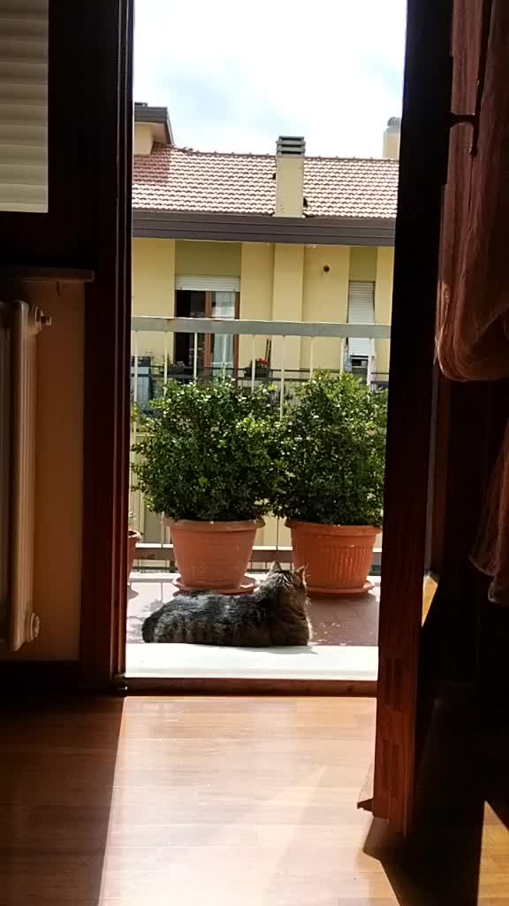 @Elisa Polidori