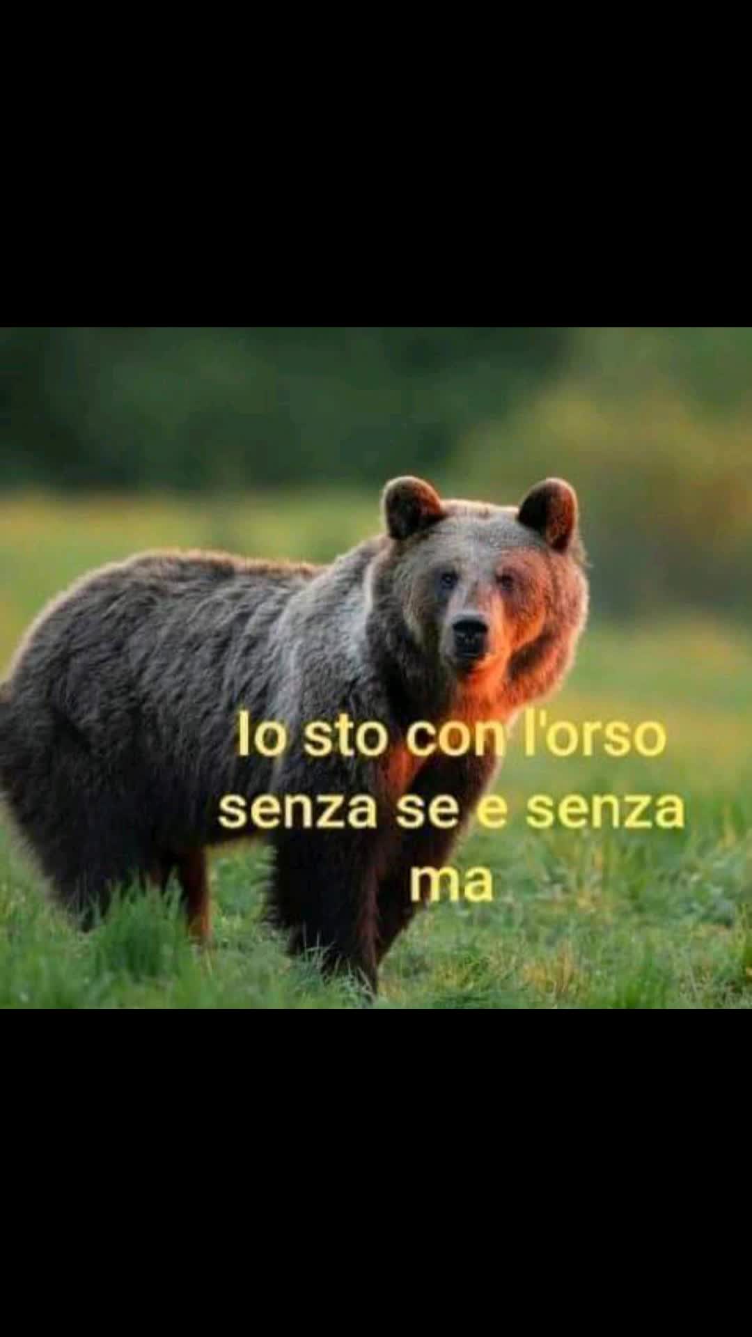 @Valentina Brindisino
