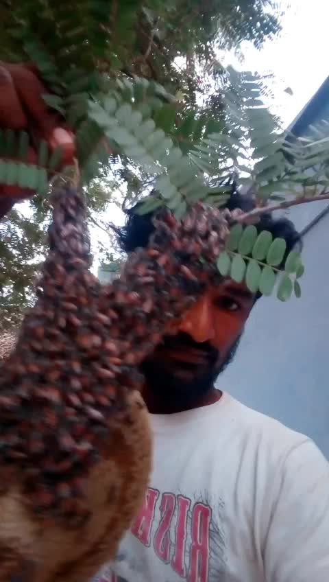@Selva Kumar