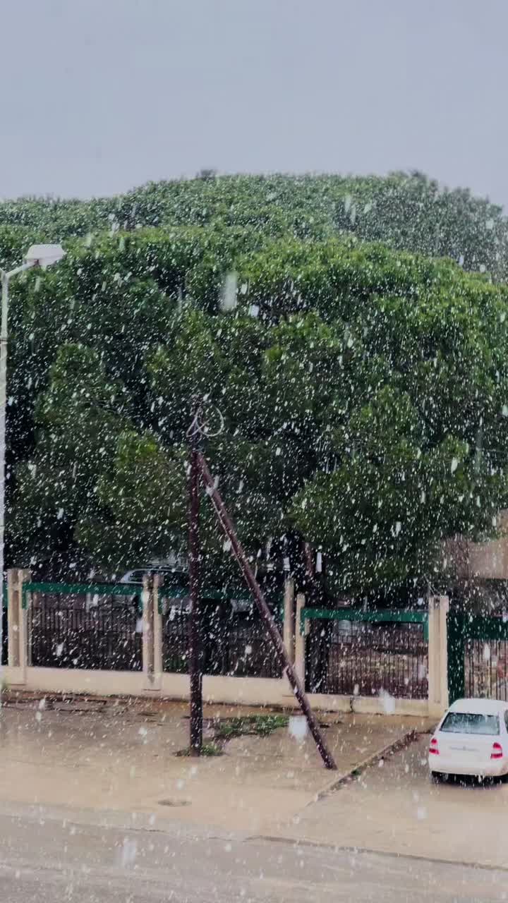 @ايمن القلبطي