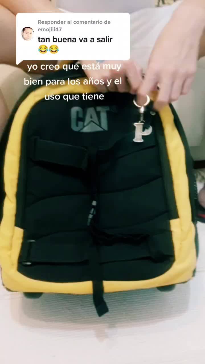 @Mauro Payer