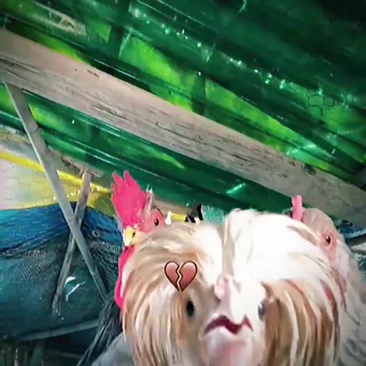 @🦥💤😎