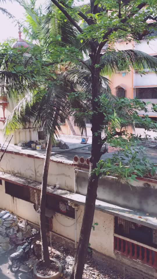 @mihemangi