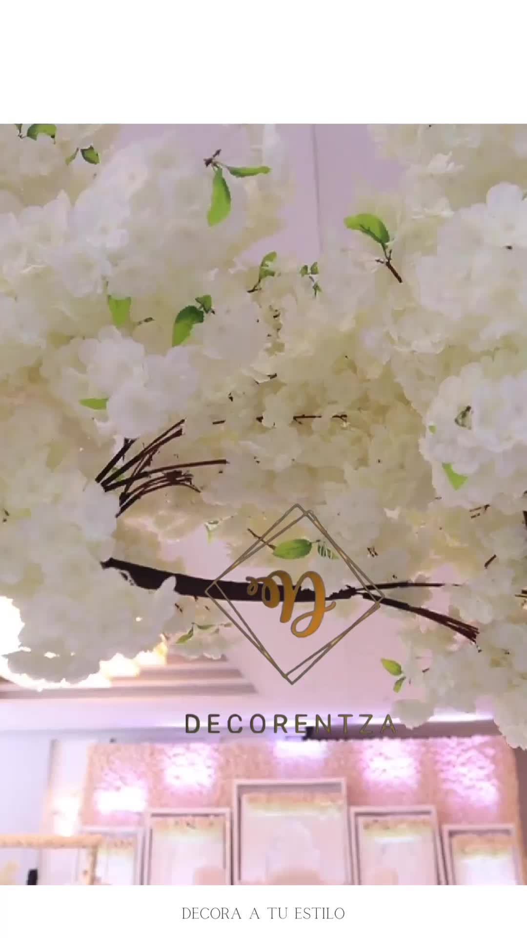 @decorentza