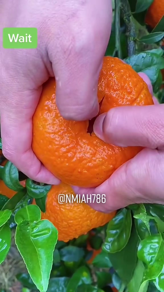 @NMiah786
