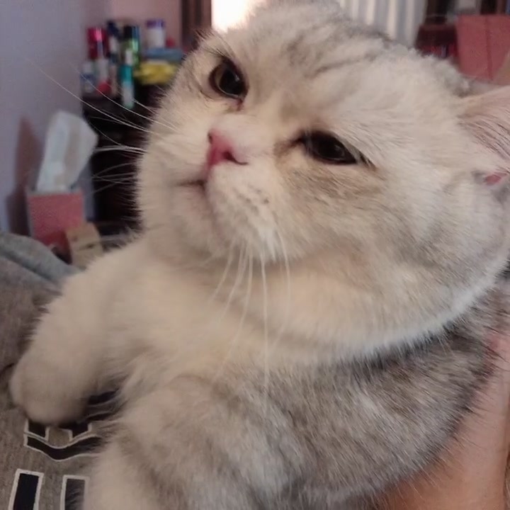 @Momo & Mimi