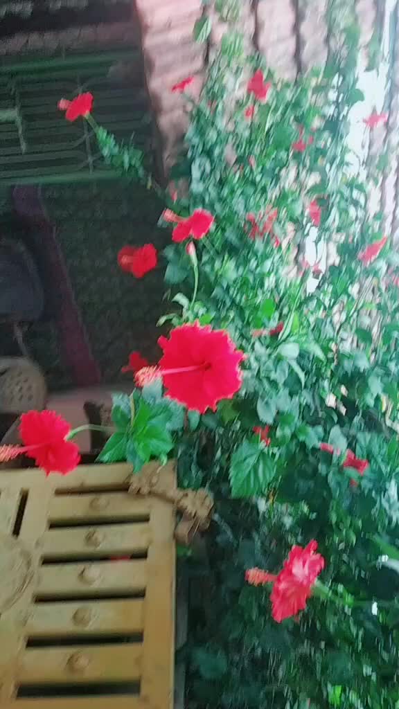 @jahanvi3948