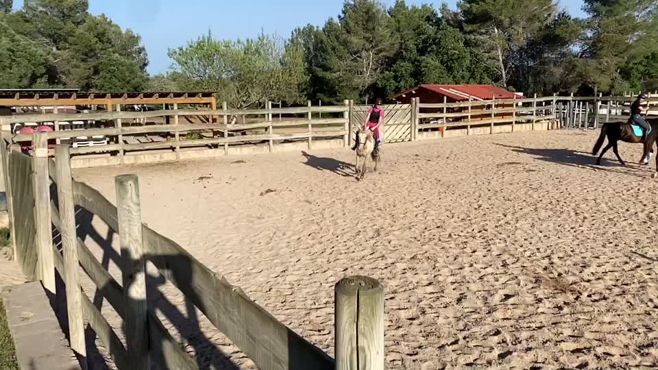 @🐴💎🥰