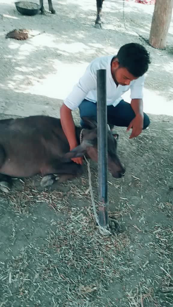 @Dnyaneshwar barse