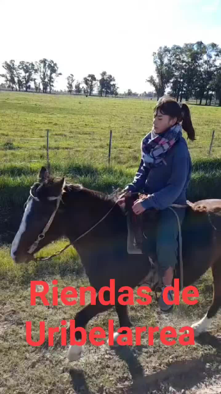 @Riendas de Uribelarrea