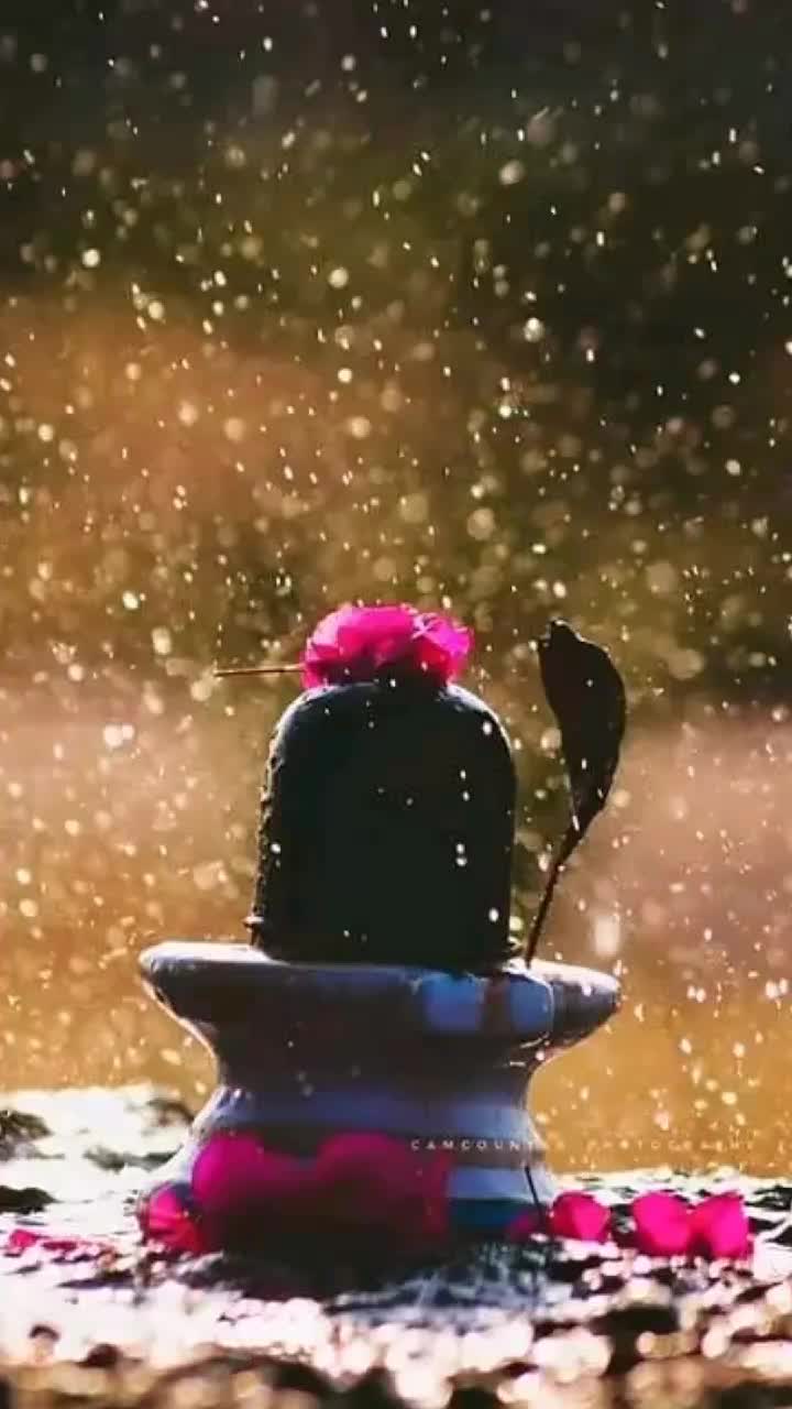 @swati_rajpoot_444
