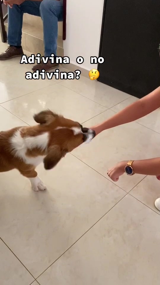 @SAM 🐾🦴