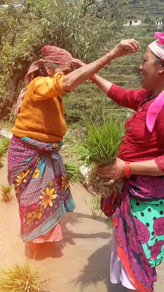 @❤️Pahadi Noni..❤️