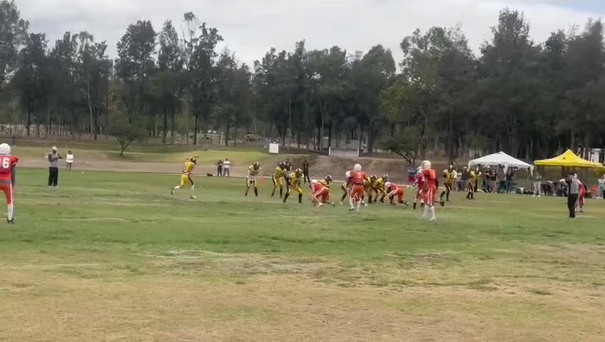 @Tadeo Melendez huerta