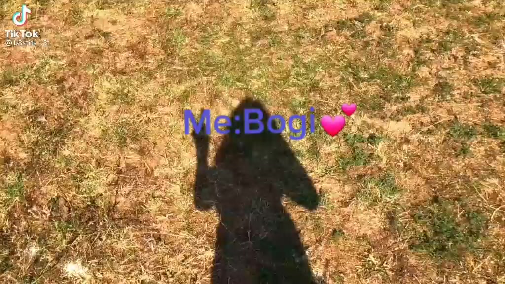 @JUNGOOK💜👼✨🐰