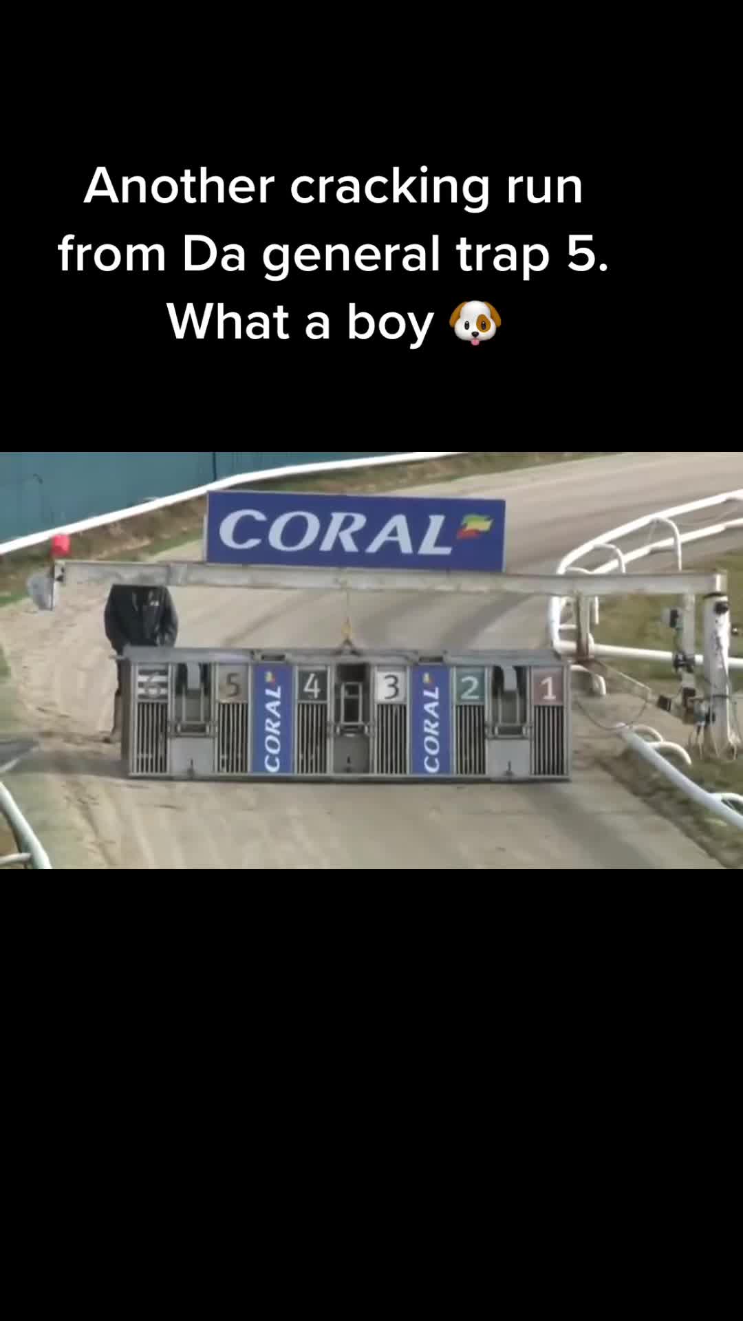 @d&s racing ๐ถ๐