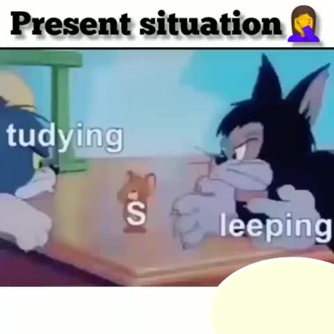@bhavya