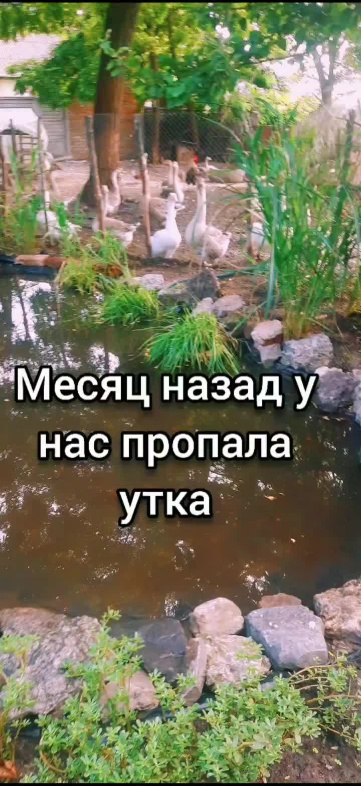 @Усадьба Гусево