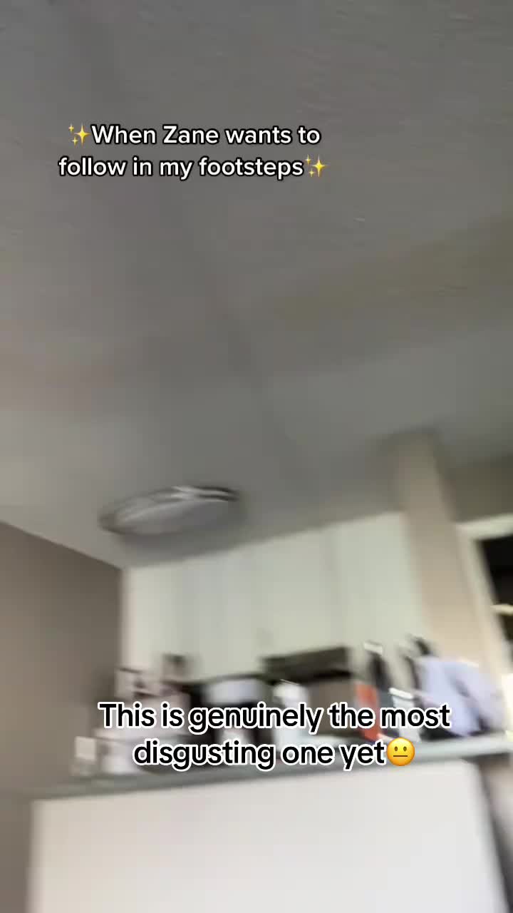@user8074279432