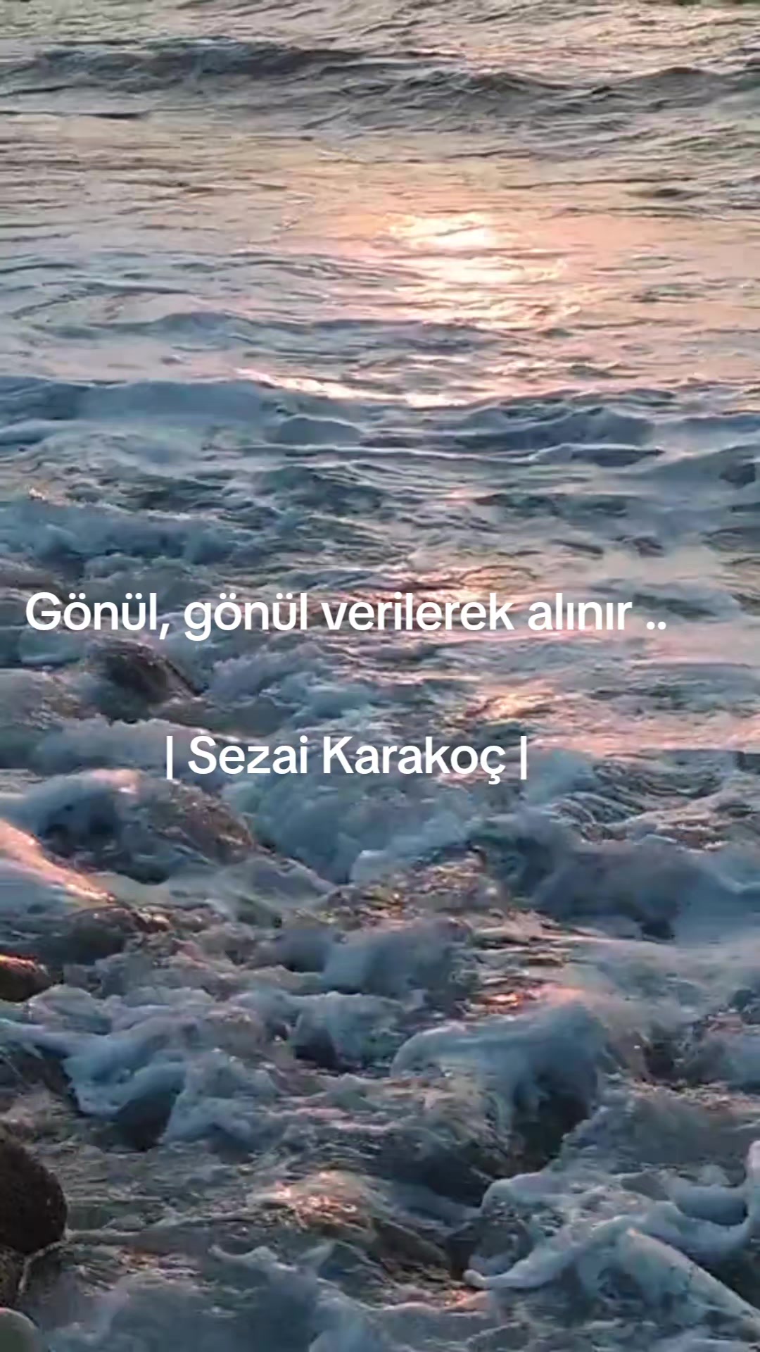@MEHMET ALİ 🇹🇷