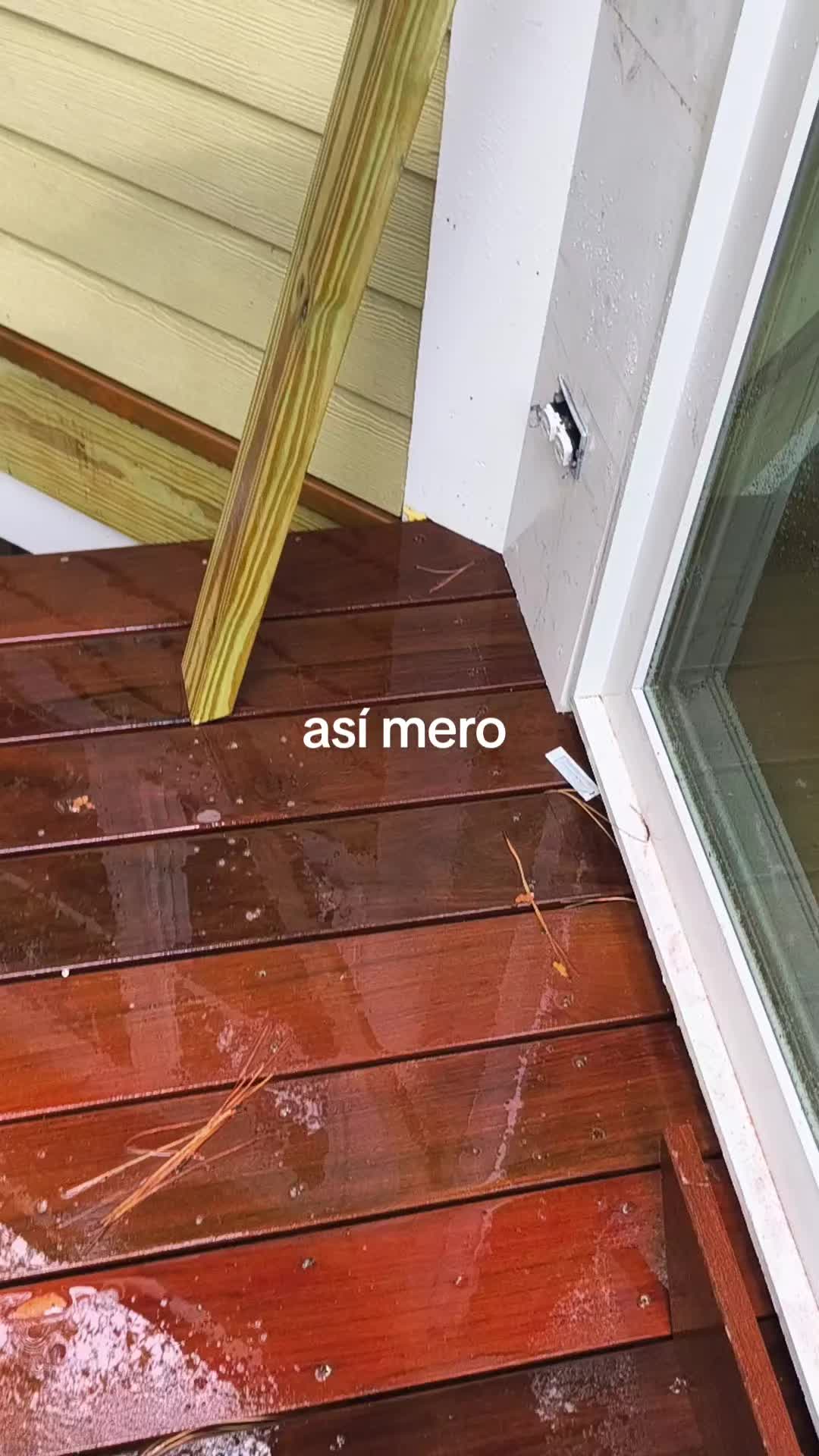 @el pisuña