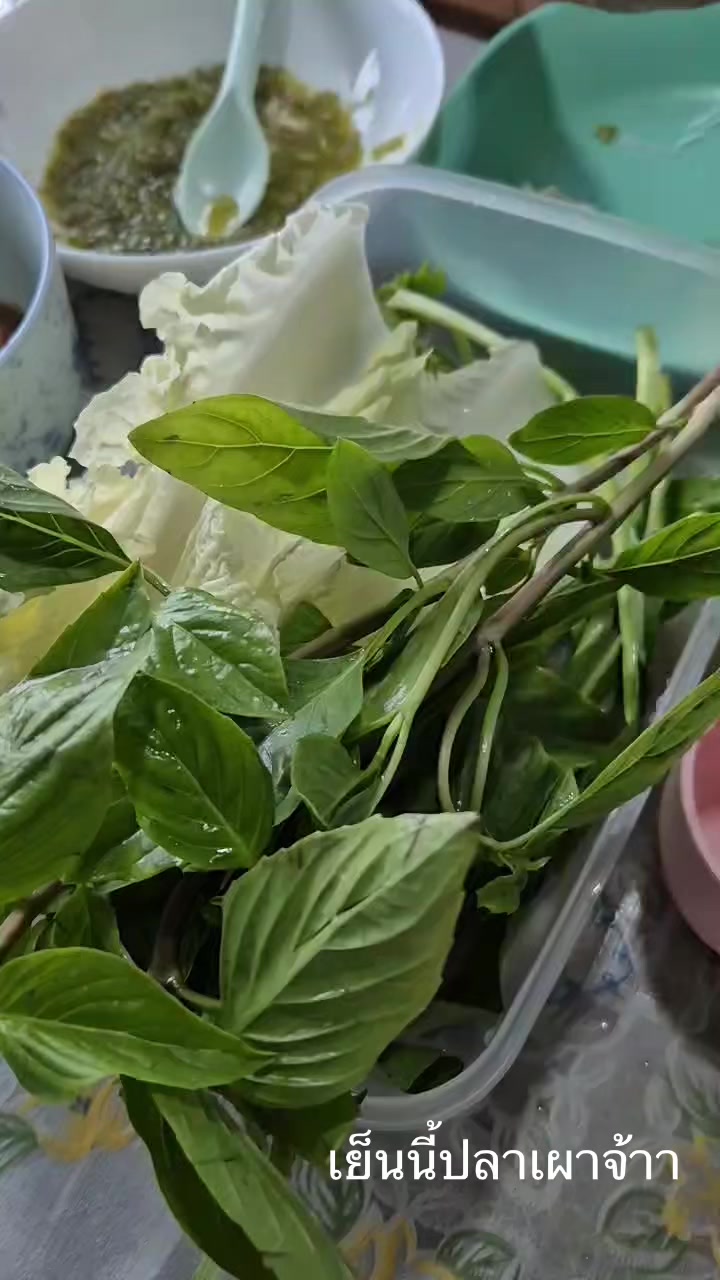 @เดเดซี่