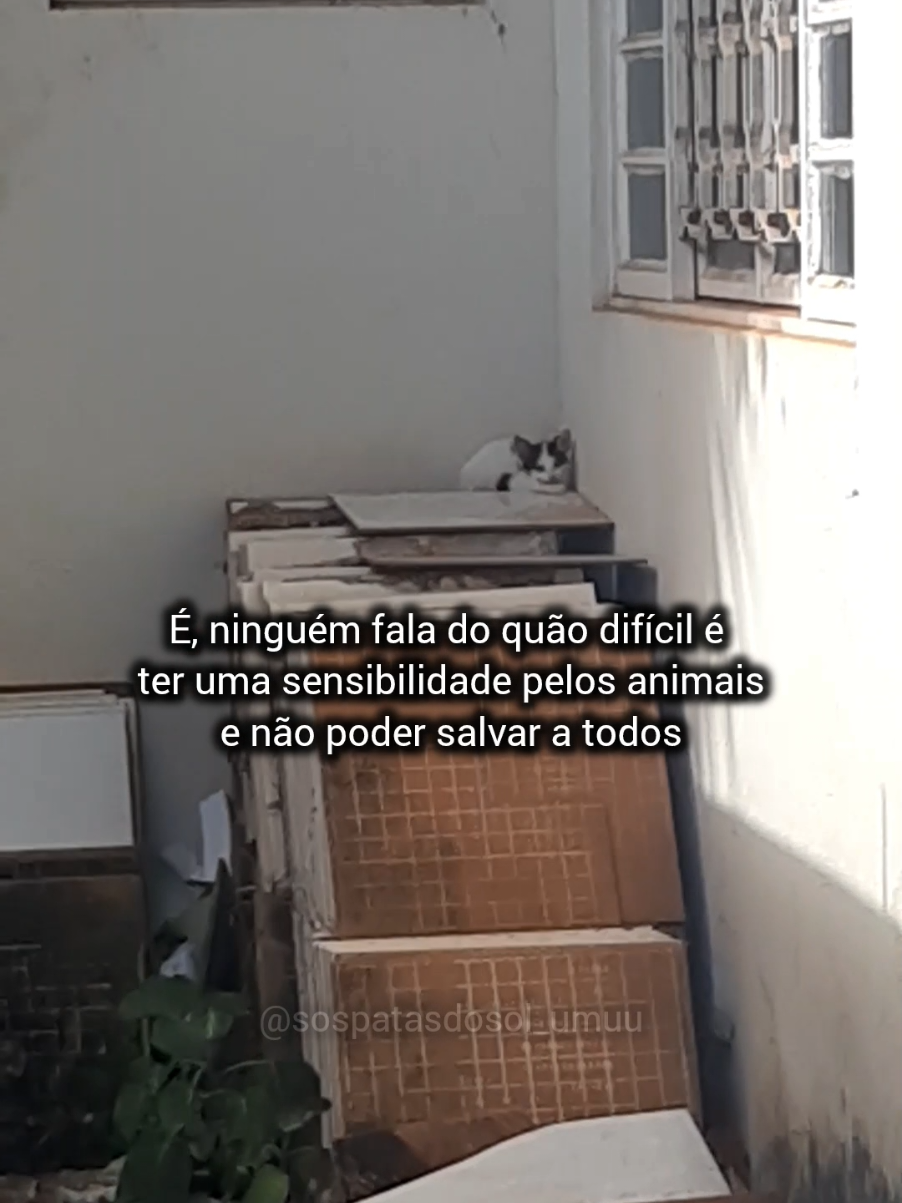 @Lillian Akemi