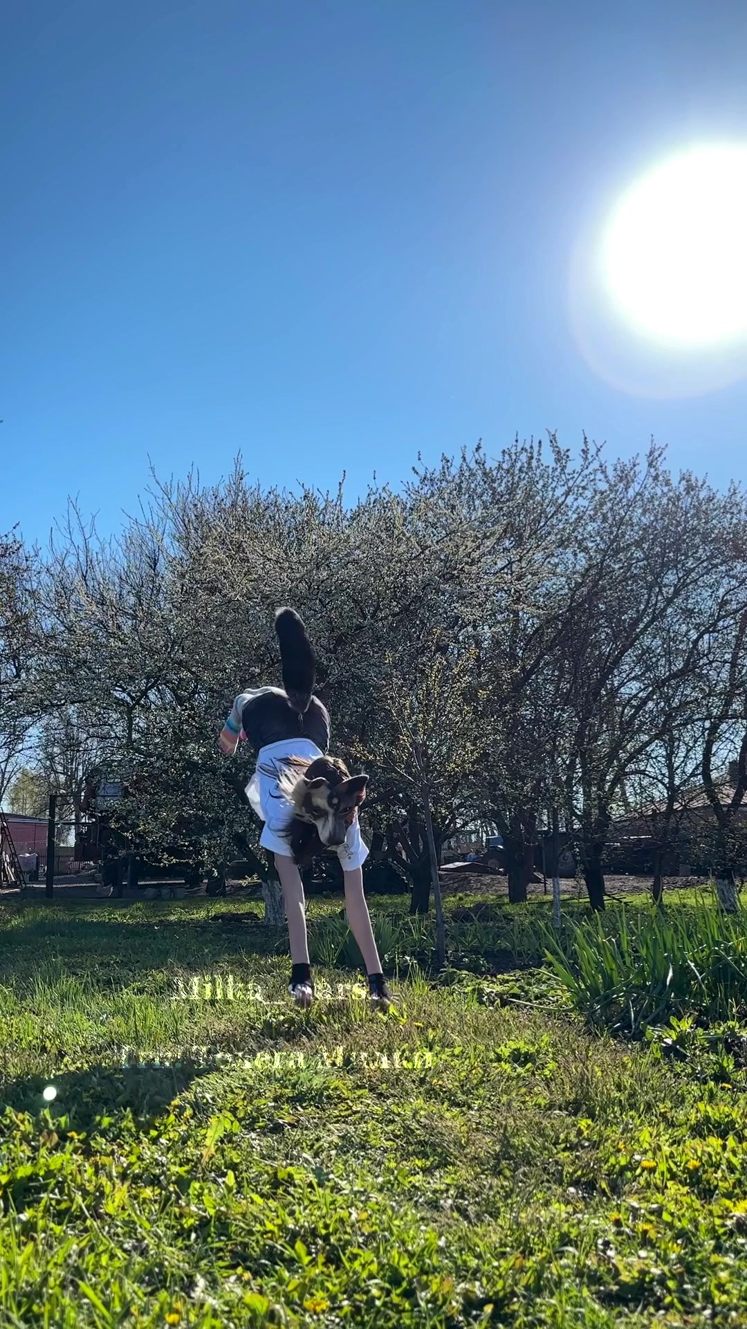 @🌱 𝓜𝓲𝓵𝓴𝓪_𝓢𝓽𝓪𝓻𝓼𝓲 ✰